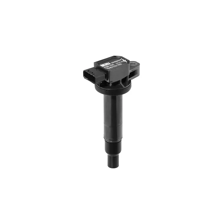 Toyota Prius Ignition Coil BORGWARNER (BERU) E2019102165B1 | PriusParts.lt