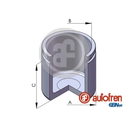 Prius II (XW20) 2003–2009 Piston, brake caliper AUTOFREN SEINSA D02555 | PriusParts.lt