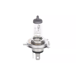 Toyota Prius Tolimųjų šviesų žibinto lemputė BOSCH 1 987 302 049 | PriusParts.lt