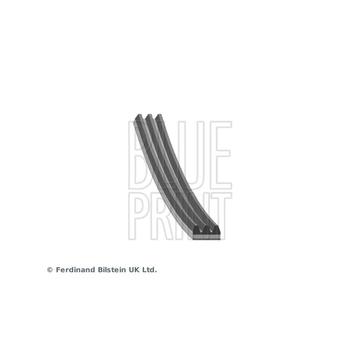 Prius II (XW20) 2003–2009 Daugiabriaunis diržas BLUE PRINT AD03R865 | PriusParts.lt