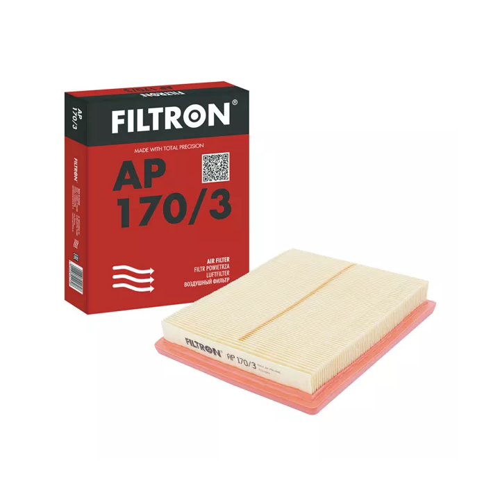 Toyota Prius Oro filtras FILTRON AP 170/3 | PriusParts.lt