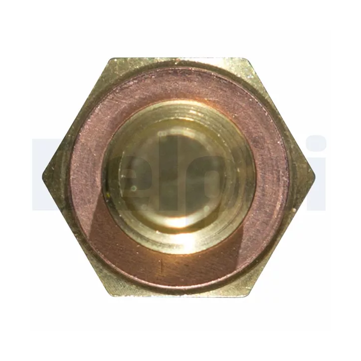 Prius I (XW10) 1997–2003 Sensor, coolant temperature DELPHI DELTS10250 | PriusParts.lt