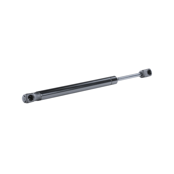 Toyota Prius Gas Spring, boot/cargo area DENCKERMANN G110592 | PriusParts.lt