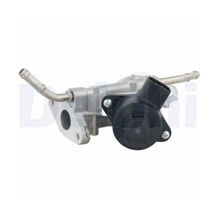 Toyota Prius EGR valve DELPHI DELEG10738-12B1 | PriusParts.lt