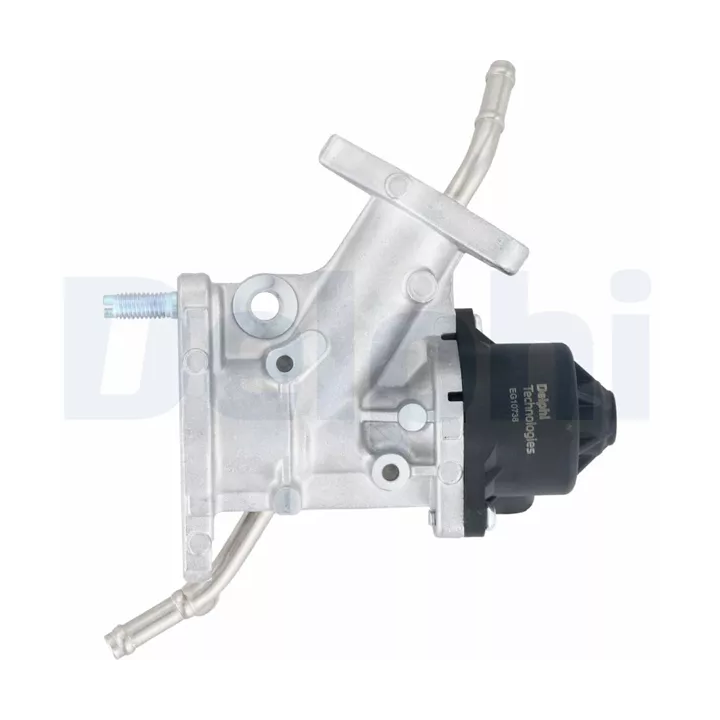 Toyota Prius EGR valve DELPHI DELEG10738-12B1 | PriusParts.lt