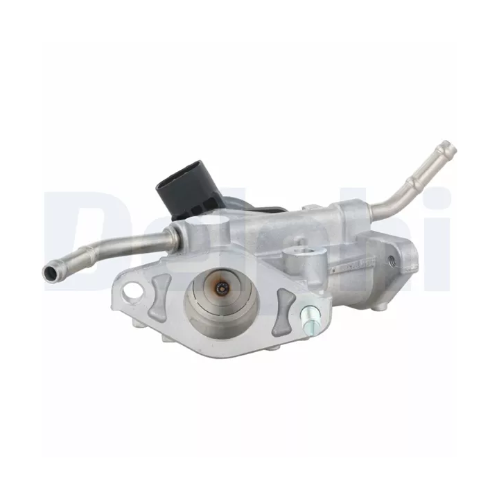 Toyota Prius EGR valve DELPHI DELEG10738-12B1 | PriusParts.lt