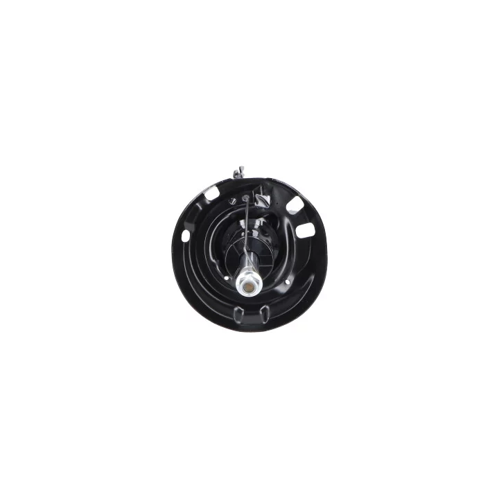 Prius IV (XW50) 2015–2022 Shock Absorber KAVO PARTS SSA-11449 – front right | PriusParts.lt