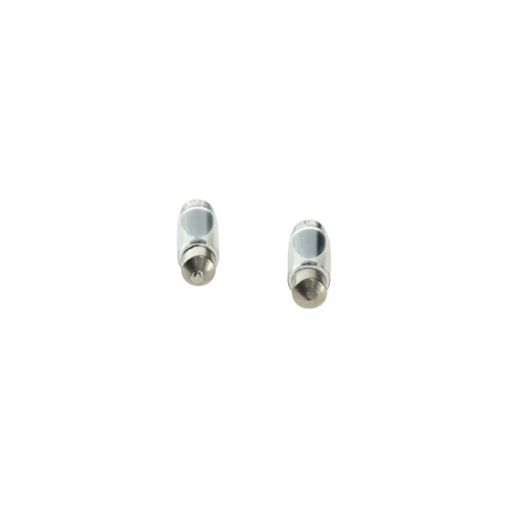 Prius IV PHV / Plug-in (XW52) Bulb, licence plate light BOSCH 1 987 301 060 | PriusParts.lt