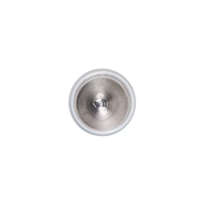 Prius IV PHV / Plug-in (XW52) Bulb, licence plate light BOSCH 1 987 301 004 | PriusParts.lt