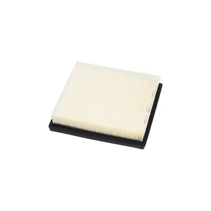 Prius V (XW60) 2023– Air Filter KAVO PARTS TA-1717 | PriusParts.lt