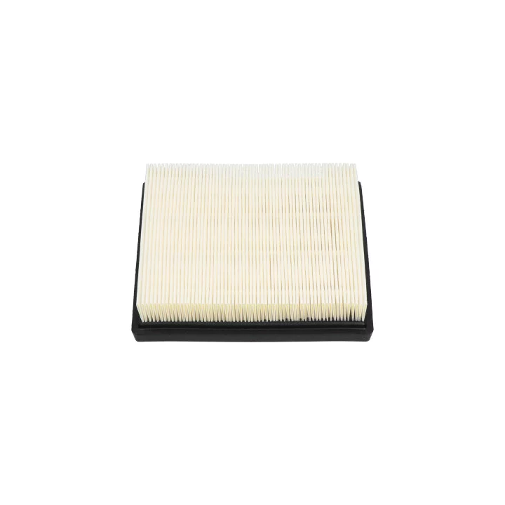 Prius V (XW60) 2023– Air Filter KAVO PARTS TA-1717 | PriusParts.lt