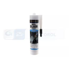 Silikonas 300 ml TECHNICQLL S-099 | PriusParts.lt