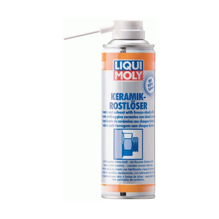 Rust shock remover 300 ml LIQUI MOLY 1641 | PriusParts.lt