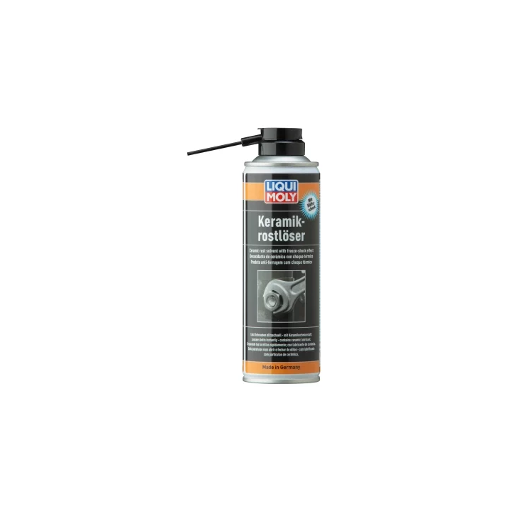 Rust shock remover 300 ml LIQUI MOLY 1641 | PriusParts.lt