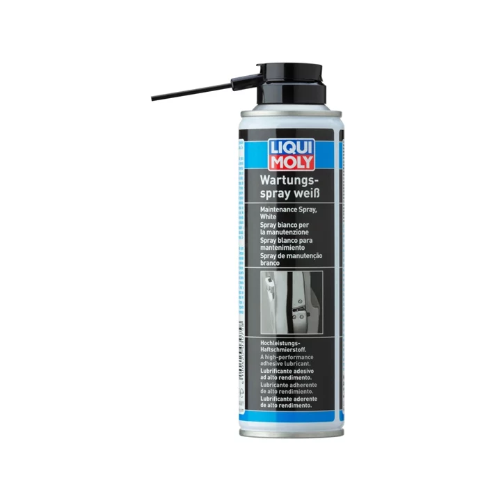 Lubricant 250 ml LIQUI MOLY 3075 | PriusParts.lt