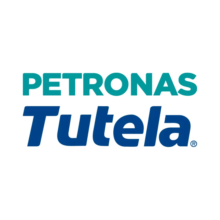 Stabdžių skystis 0.5 L PETRONAS 76007C19EU | PriusParts.lt