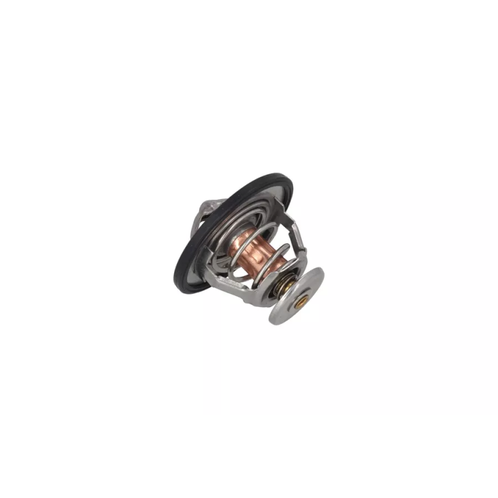 Toyota Prius Thermostat, coolant KAMOKA 7710104 | PriusParts.lt
