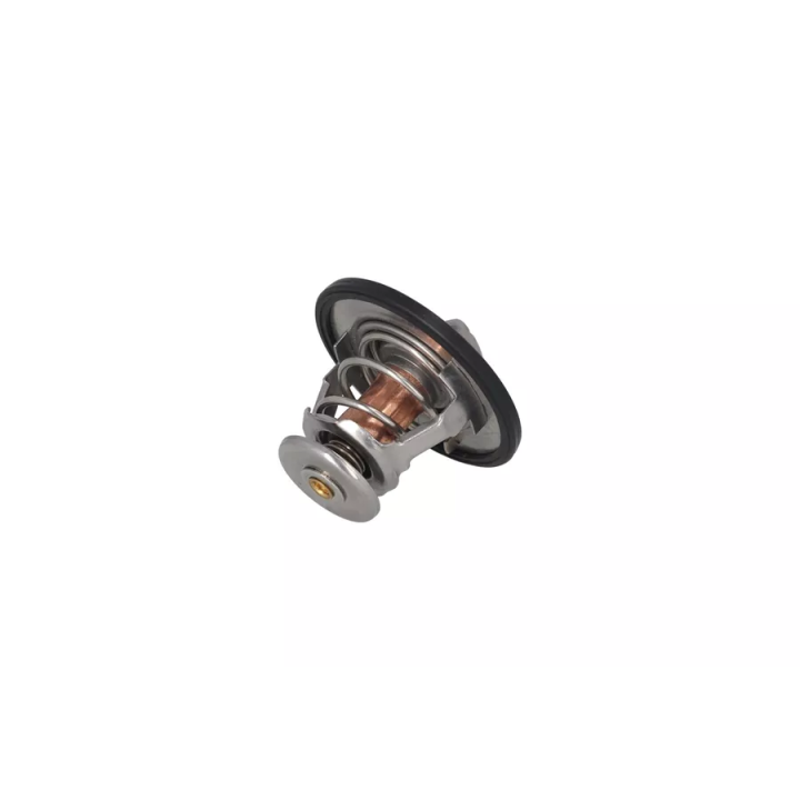 Toyota Prius Thermostat, coolant KAMOKA 7710104 | PriusParts.lt