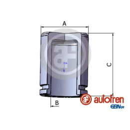 Prius+ (ZVW40/41) 2011–2021 Piston, brake caliper AUTOFREN SEINSA D025279 | PriusParts.lt