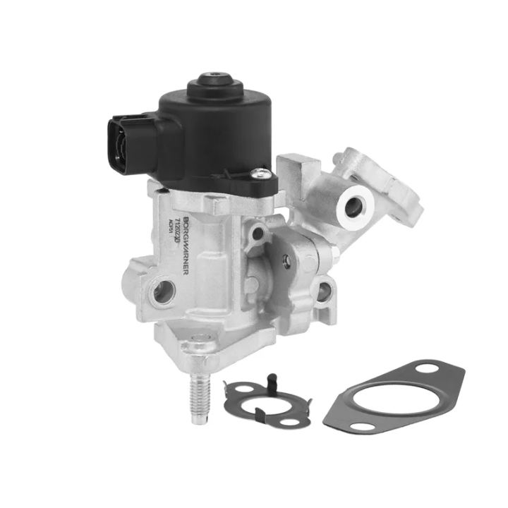 Toyota Prius EGR valve BORGWARNER 712023D | PriusParts.lt