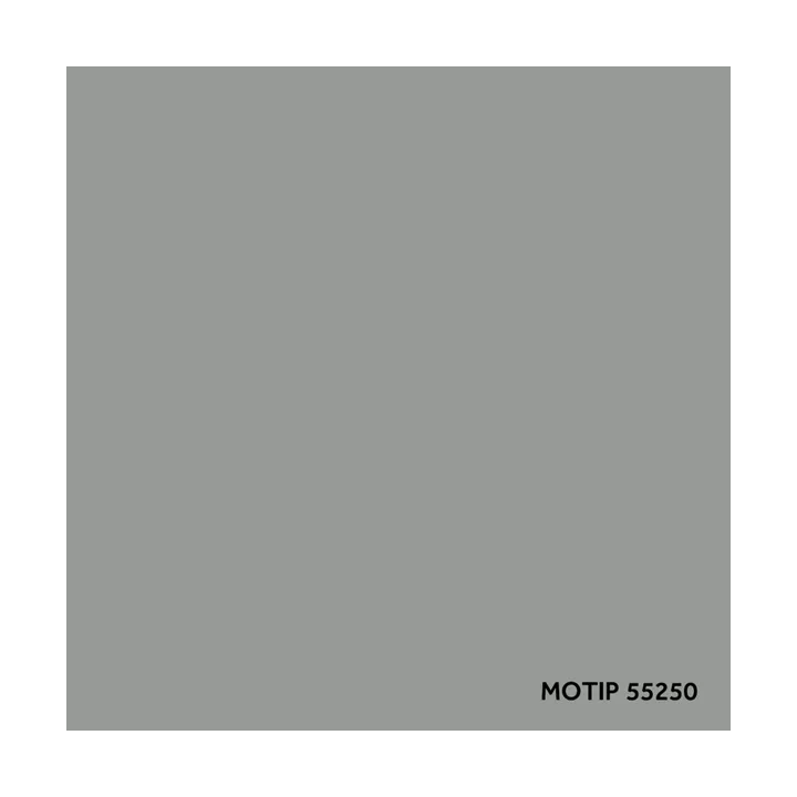 MOTIP acrylic automotive paint silver, metallic, 400 ml 55250 | PriusParts.lt