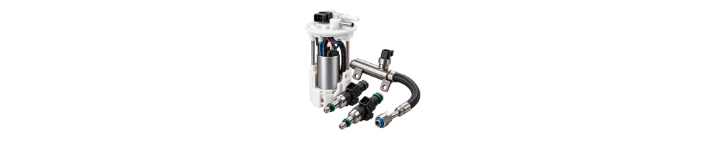 Fuel system