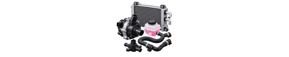 Hybrid system cooling